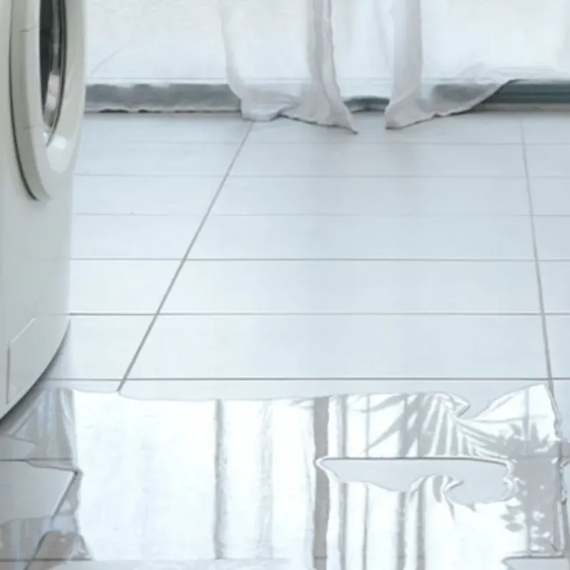 Appliance Leak Cleanup in Grantsburg, WI
