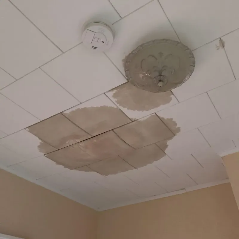 Ceiling Water Damage Repair in Grantsburg, WI