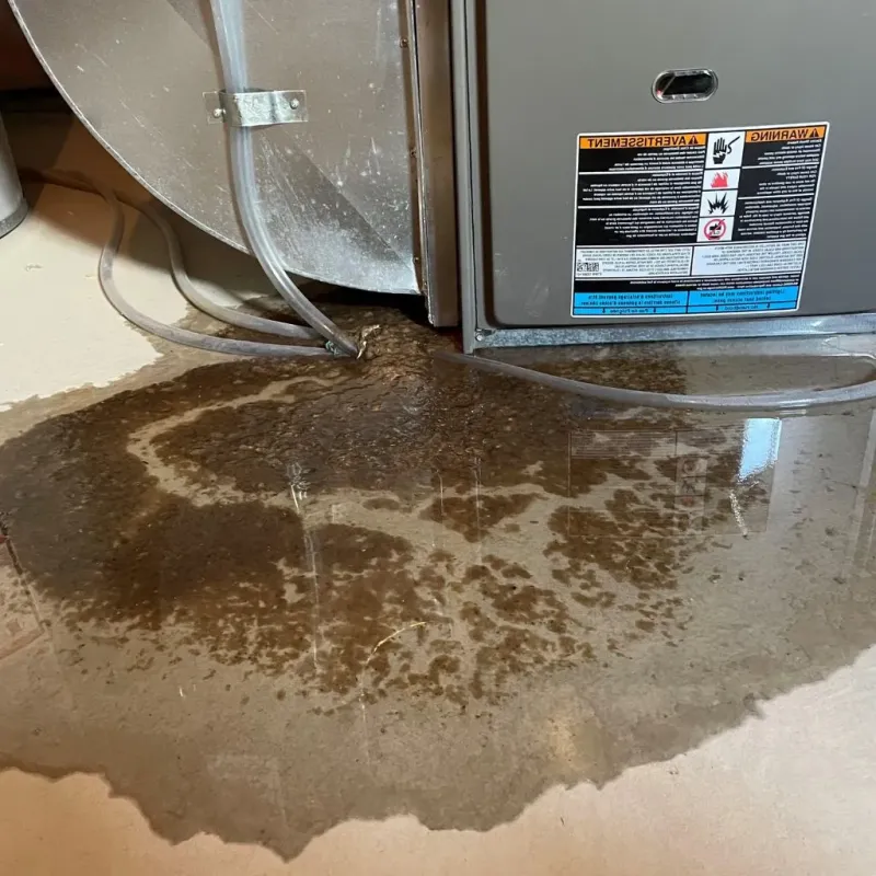 Pipe Burst and Leak Restoration in Grantsburg, WI
