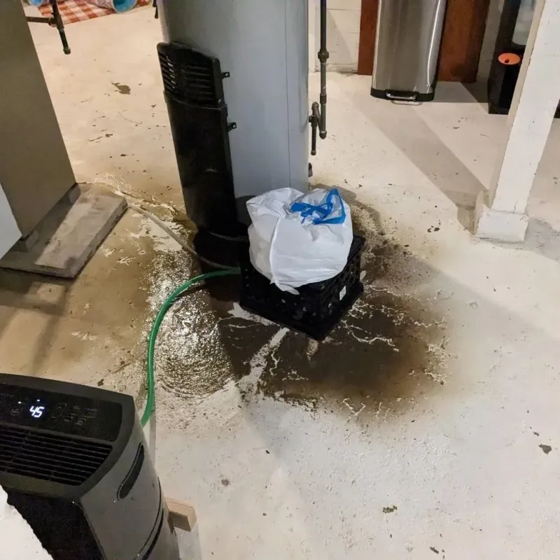 Sewage Backup Cleanup Service in Grantsburg, WI
